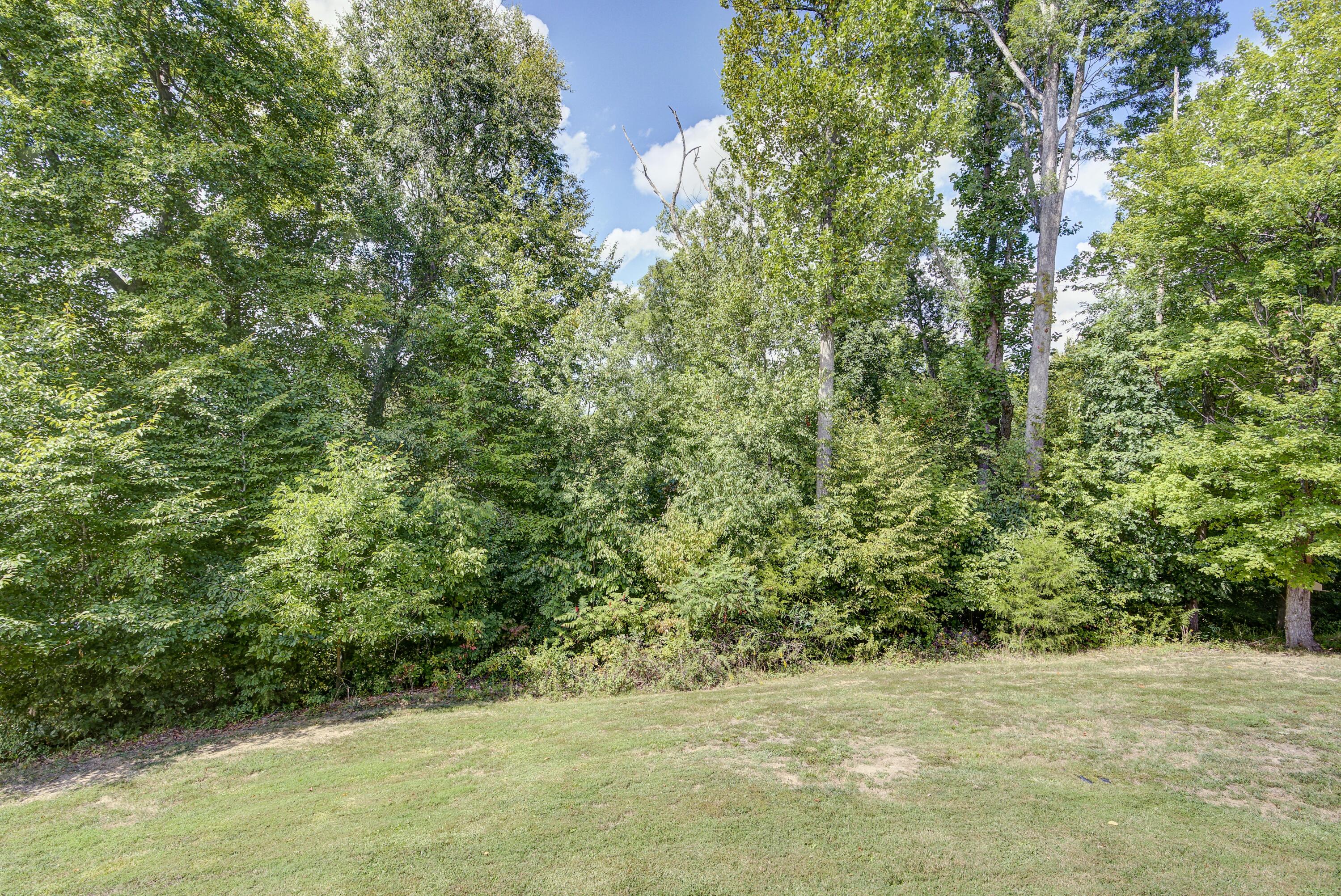 1816 Idle Hour Road Kingsport, TN 37660 - Photo 33 of 34 Idle--26
