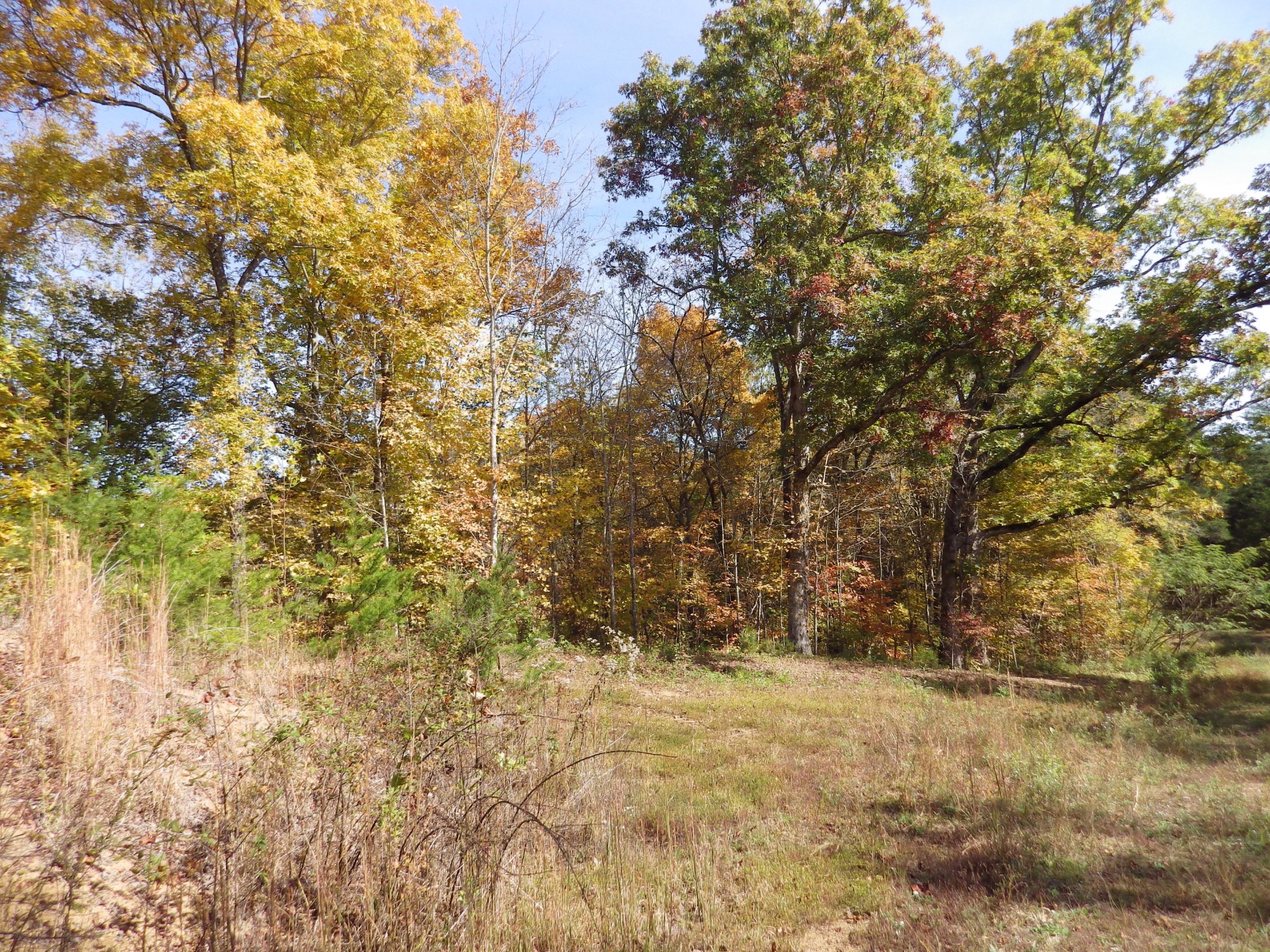 1585 Davis Valley Road Afton, TN 37616 - Photo 18 of 20 Gallery Image 18