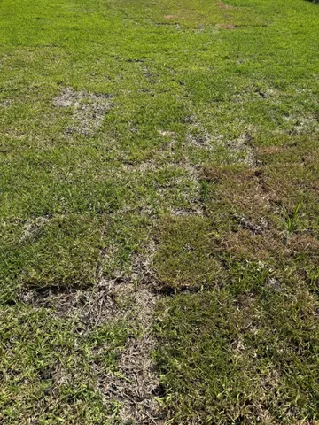 a view of a green field