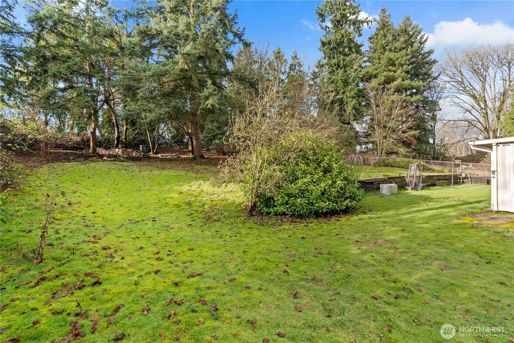 22415 Military Road South SeaTac, WA 98198 - Photo 20 of 31 a view of yard with tree