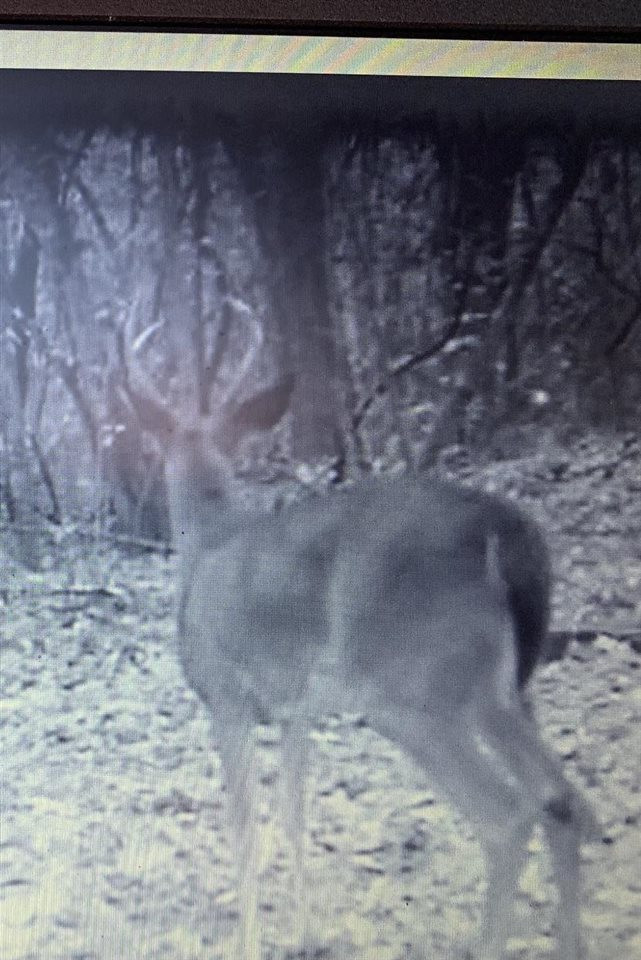 0 Steam Mill Ferry Road Medon, TN 38356 - Photo 11 of 21 Photo 6