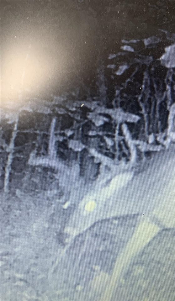 0 Steam Mill Ferry Road Medon, TN 38356 - Photo 12 of 21 Photo 8