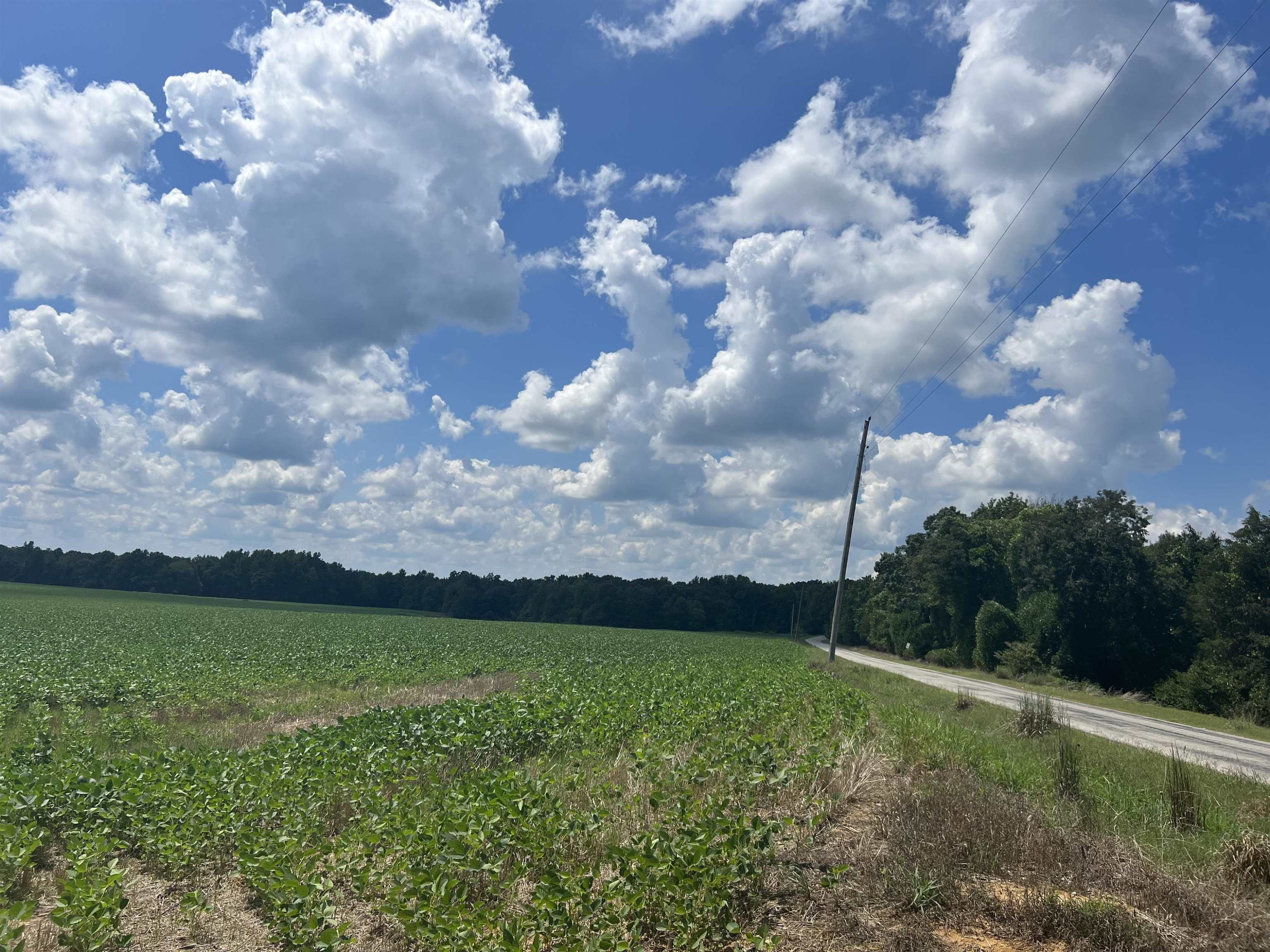 0 Steam Mill Ferry Road Medon, TN 38356 - Photo 2 of 21 Photo 4