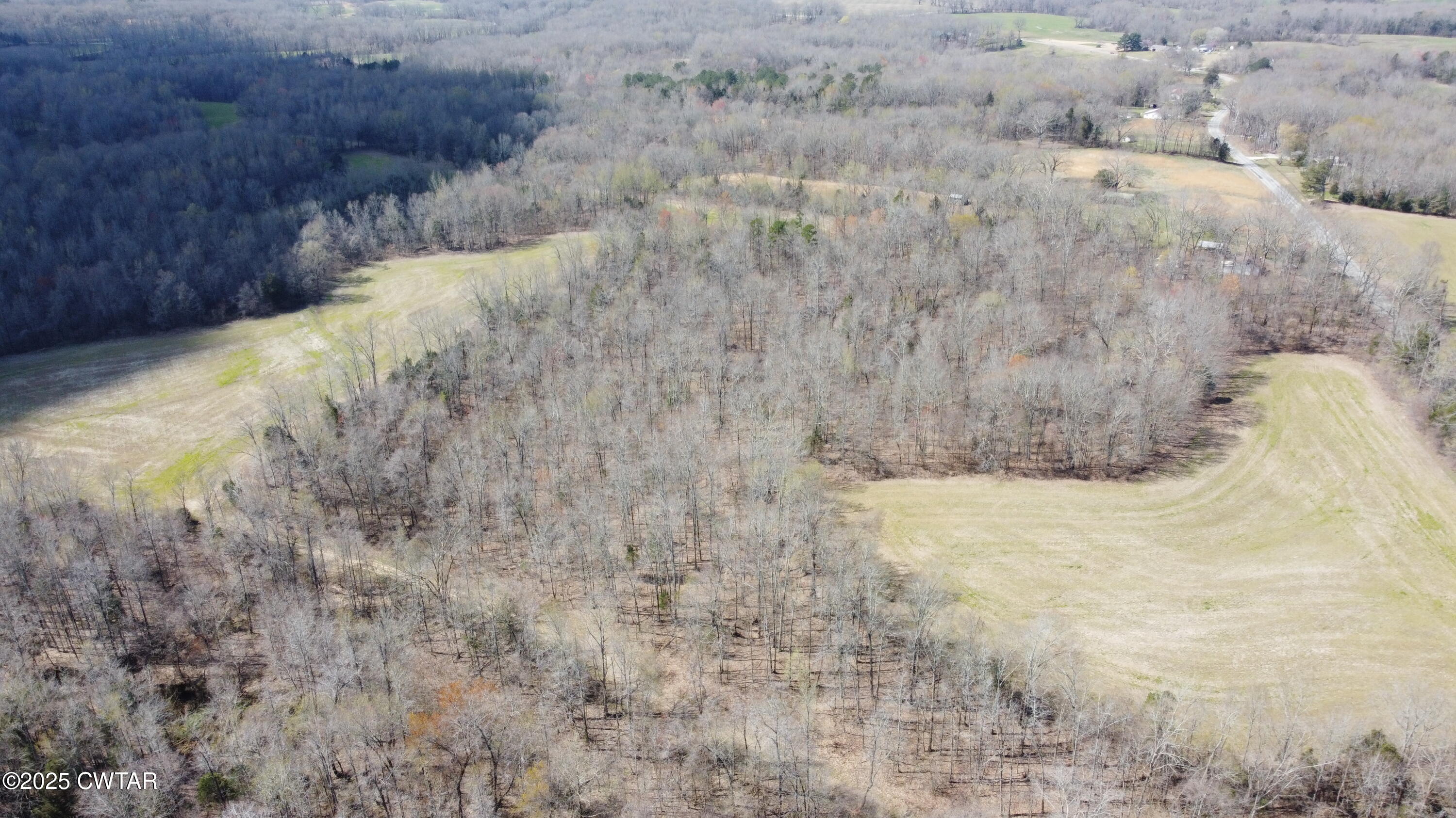 0 Steam Mill Ferry Road Medon, TN 38356 - Photo 21 of 21 DJI_0102