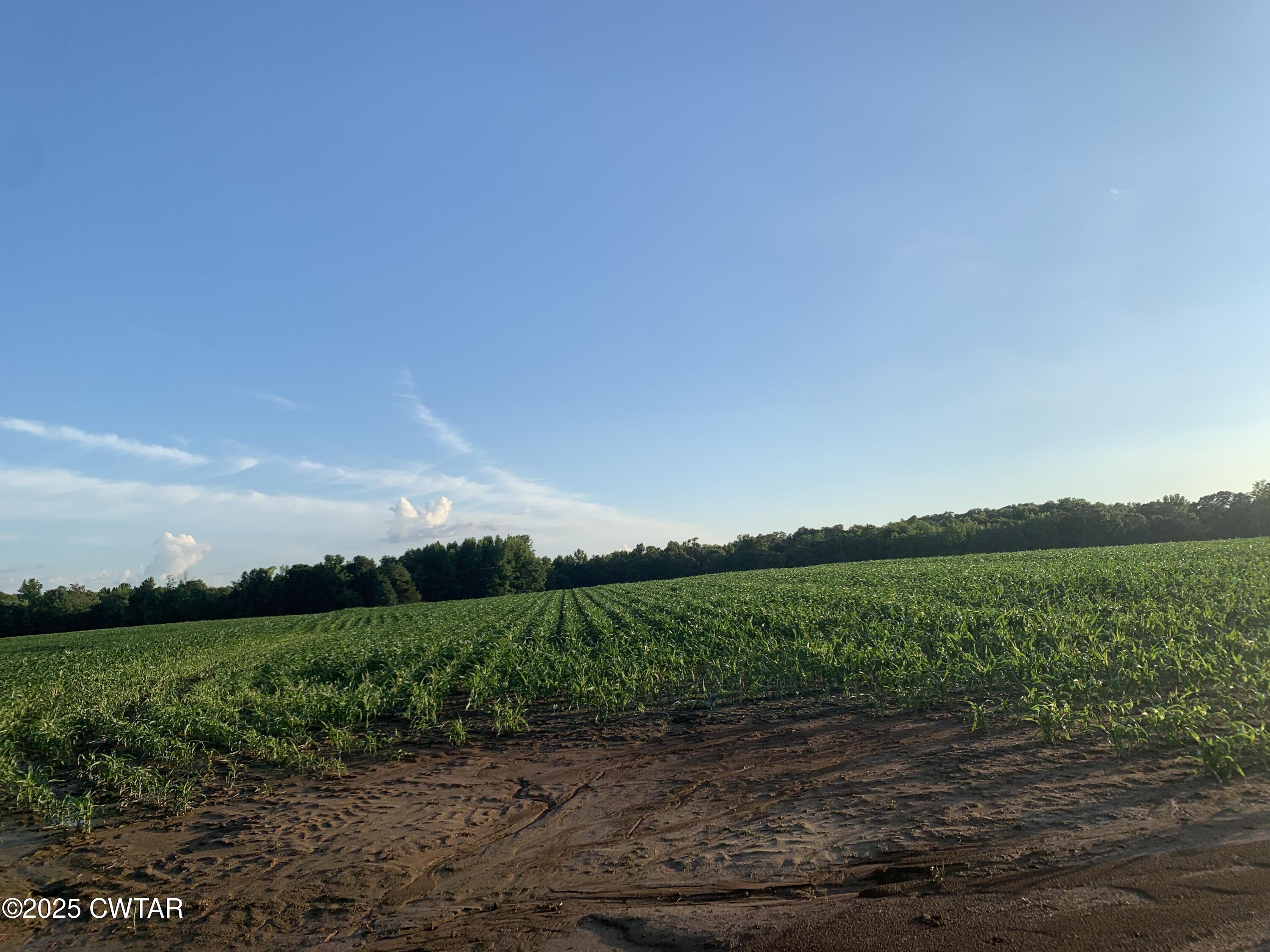 0 Steam Mill Ferry Road Medon, TN 38356 - Photo 4 of 21 IMG_3146