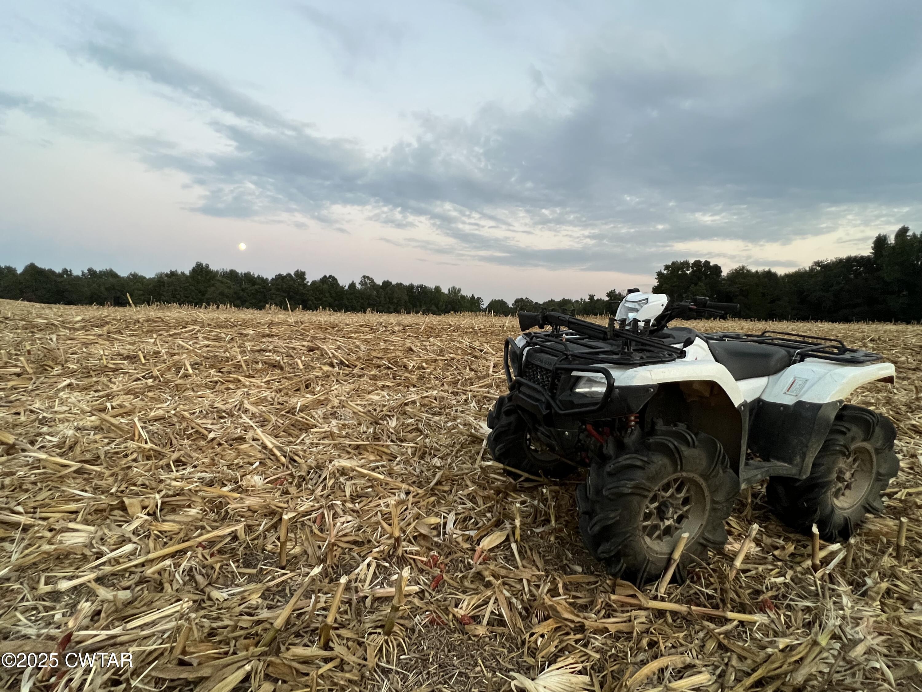 0 Steam Mill Ferry Road Medon, TN 38356 - Photo 5 of 21 IMG_9201