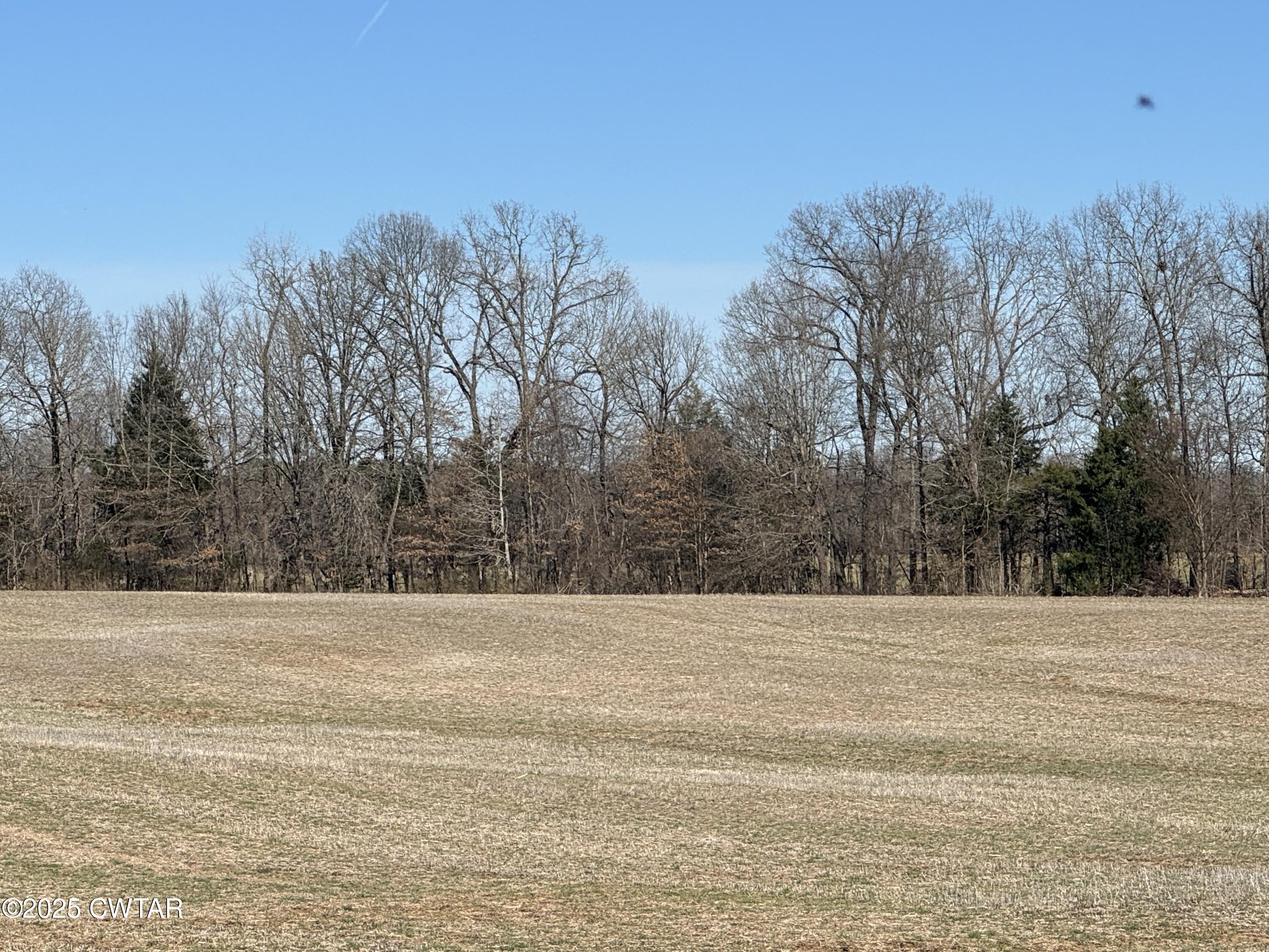 0 Steam Mill Ferry Road Medon, TN 38356 - Photo 6 of 21 IMG_6420