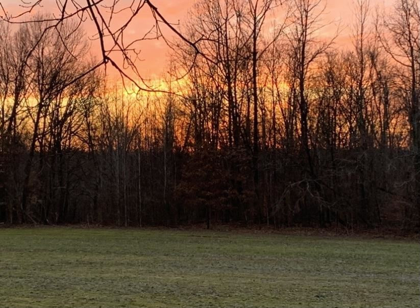 0 Steam Mill Ferry Road Medon, TN 38356 - Photo 7 of 21 Photo 9