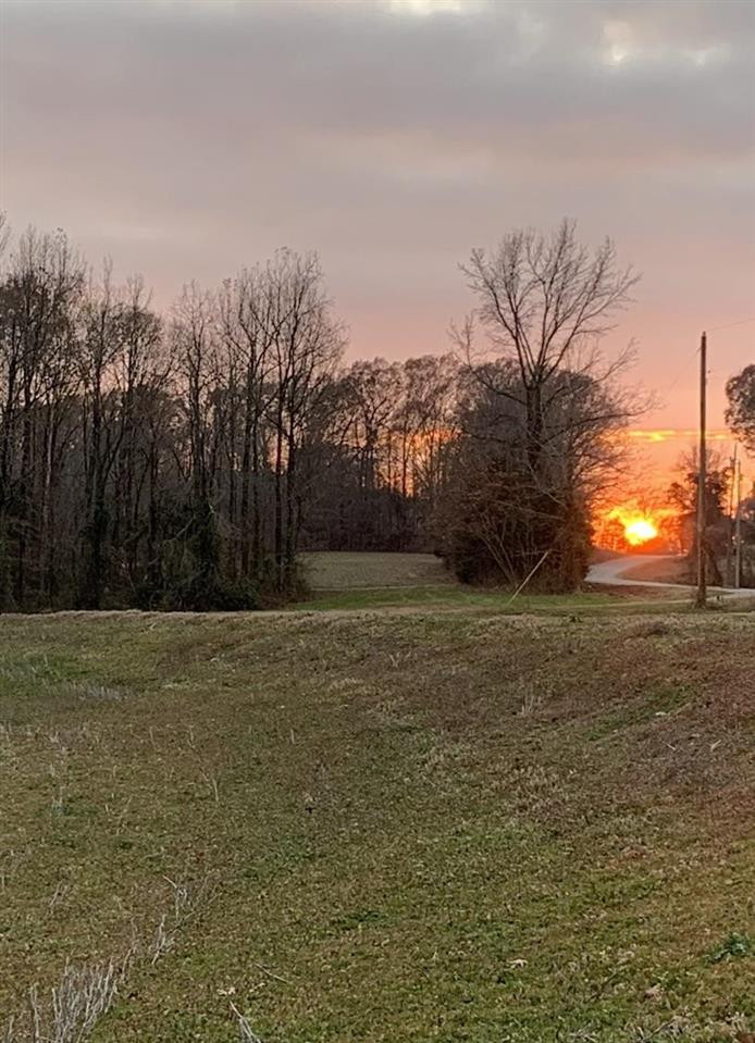 0 Steam Mill Ferry Road Medon, TN 38356 - Photo 8 of 21 Photo 11