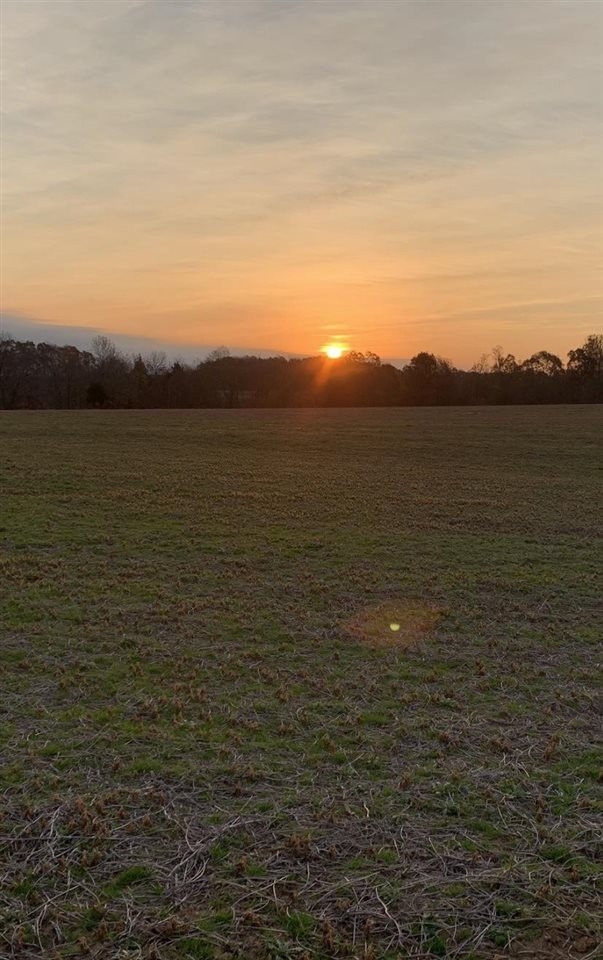 0 Steam Mill Ferry Road Medon, TN 38356 - Photo 9 of 21 Photo 12