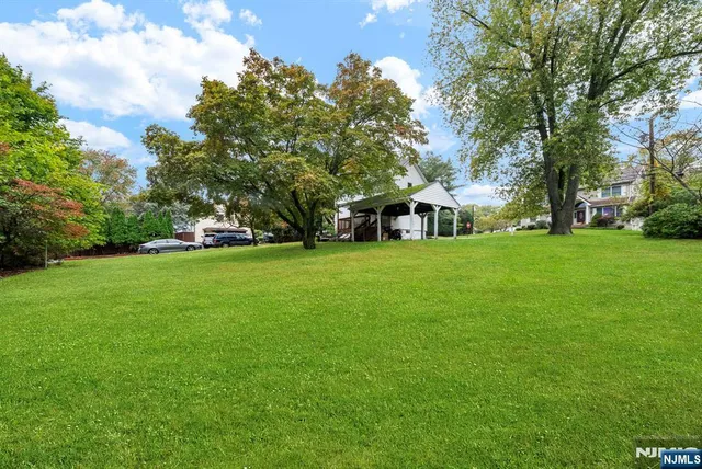 a view of a park with large trees