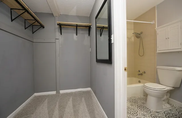 a bathroom with a toilet and a shower