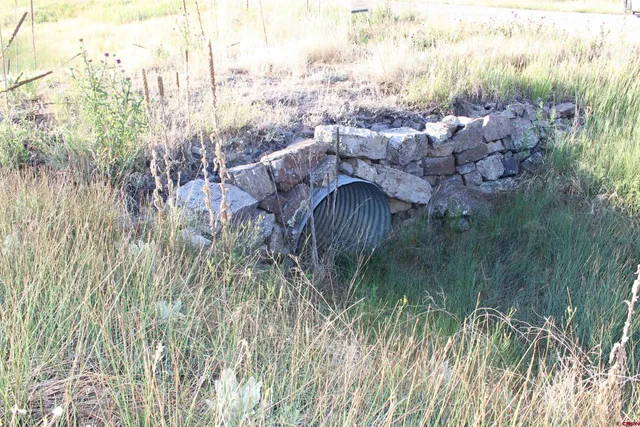 a view of a street with a tree