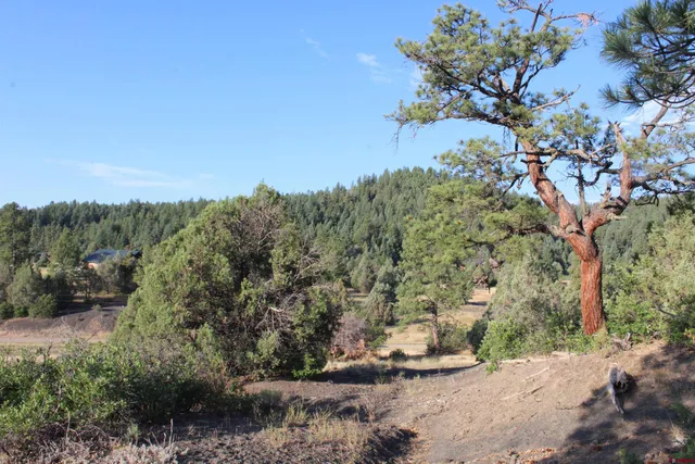 a view of lake with green space