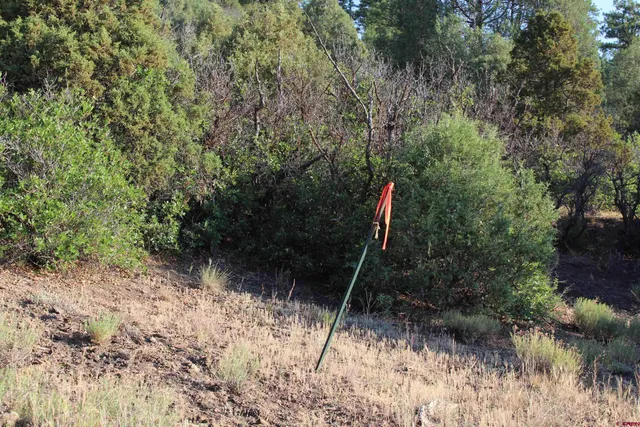 a view of mountain view with lots of trees