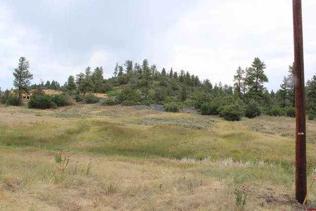a view of a field with trees in the background