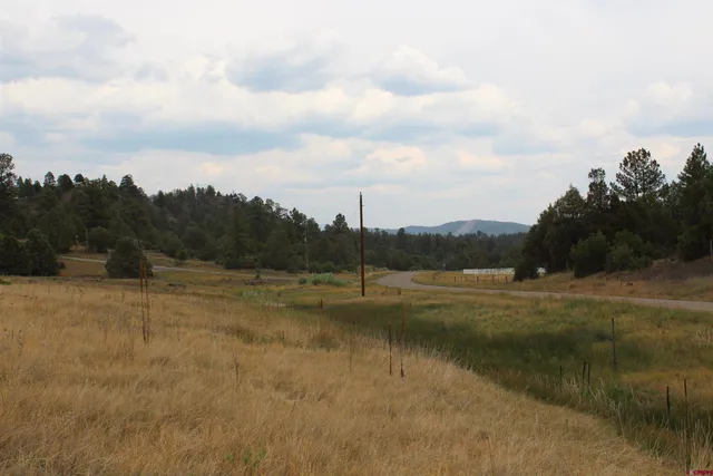 a view of a lake with houses in the background