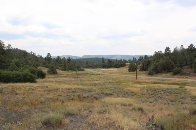 a view of an outdoor space and a yard