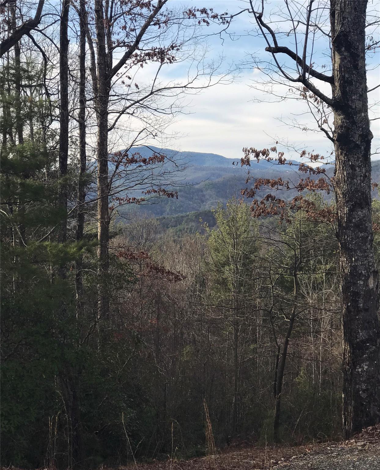 17 Arrowhead Ridge Road, Unit 17 Brevard, NC 28712 - Photo 13 of 14 Gallery Image 13