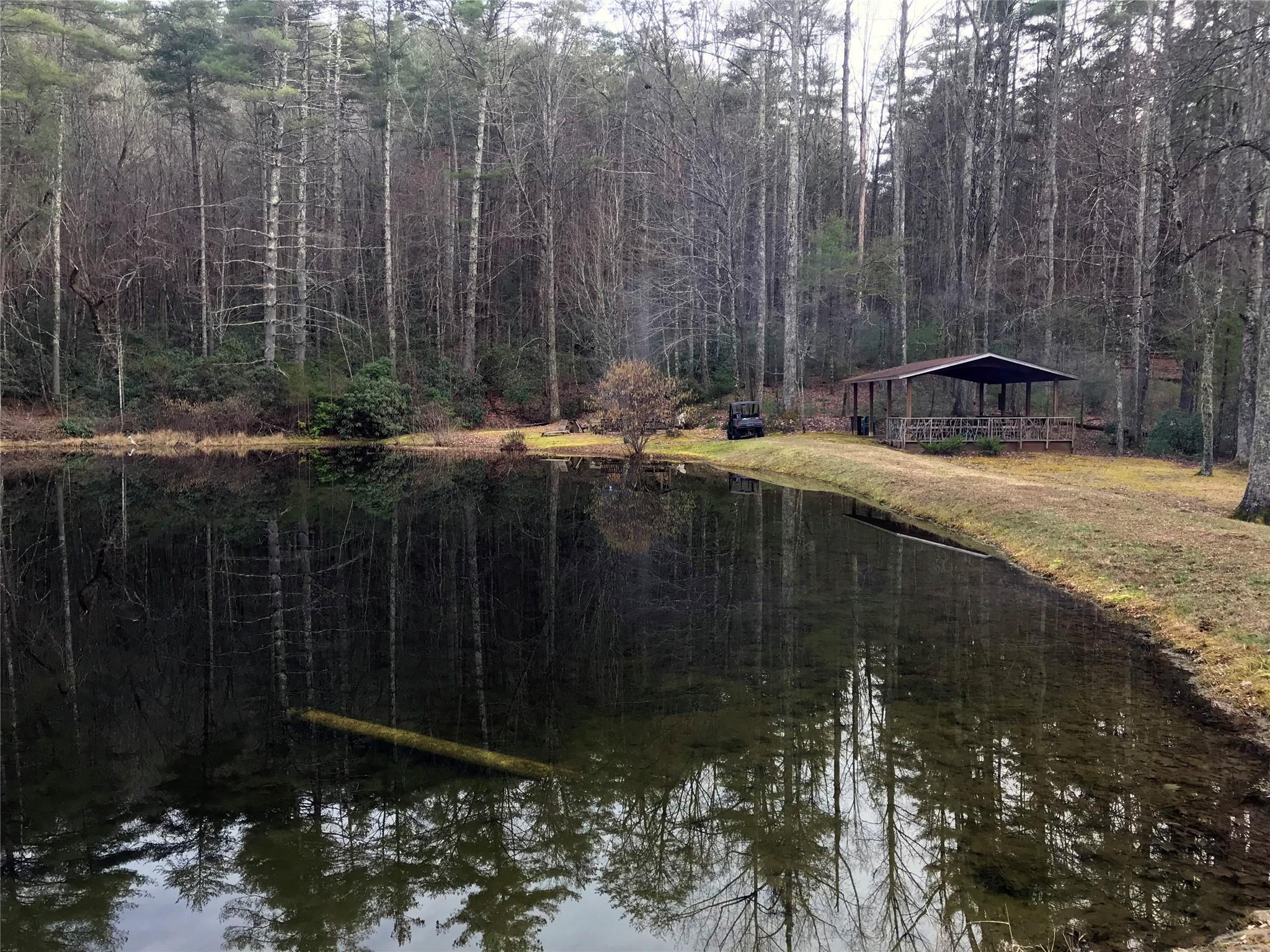 17 Arrowhead Ridge Road, Unit 17 Brevard, NC 28712 - Photo 10 of 14 Gallery Image 10
