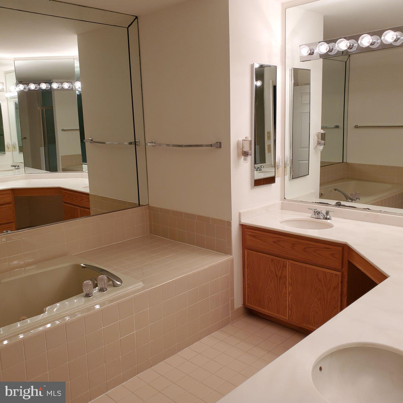 8021 Quarry Ridge Way Bethesda, MD 20817 - Photo 14 of 24 Primary Bathroom with jetted tub and dual sinks