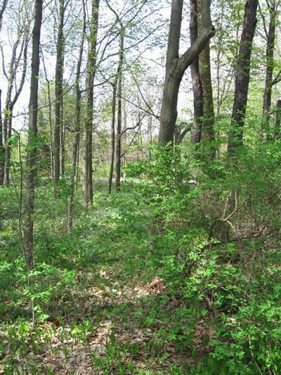 Prairie Road North Harbert, MI 49115 - Photo 2 of 3 Additional Photo