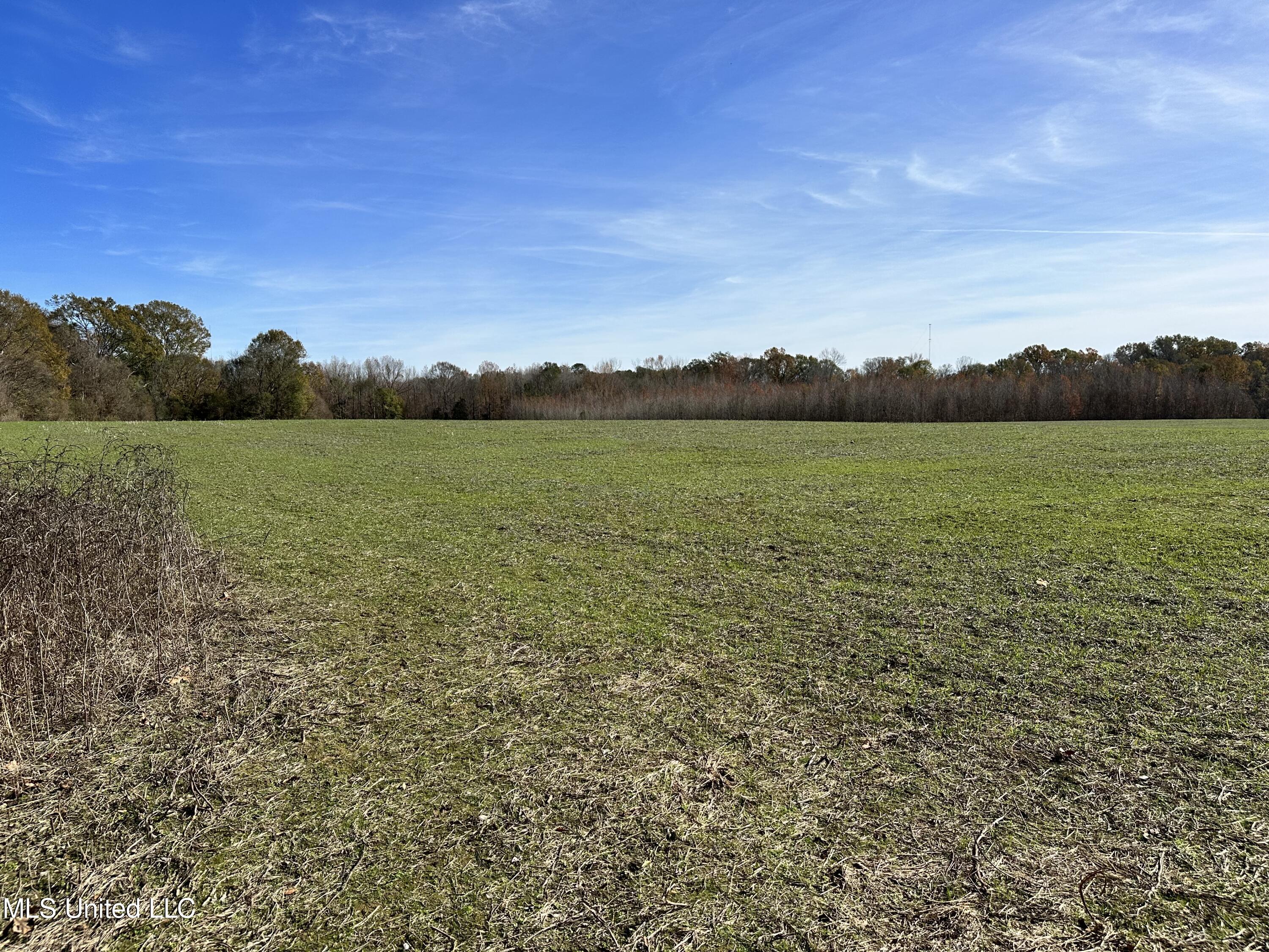 1 Springridge Road Raymond, MS 39154 - Photo 11 of 16 IMG_3846