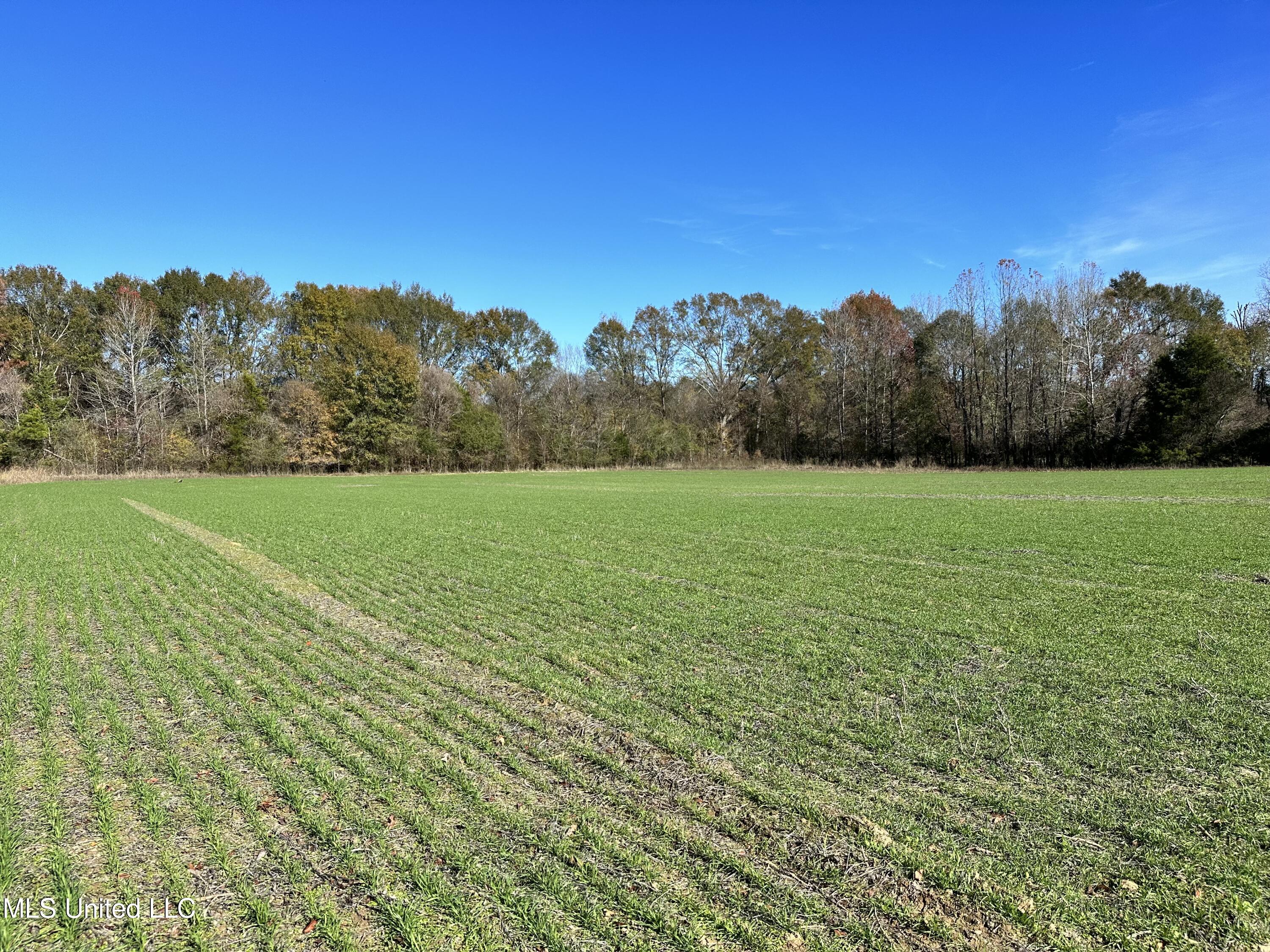 1 Springridge Road Raymond, MS 39154 - Photo 13 of 16 IMG_3835