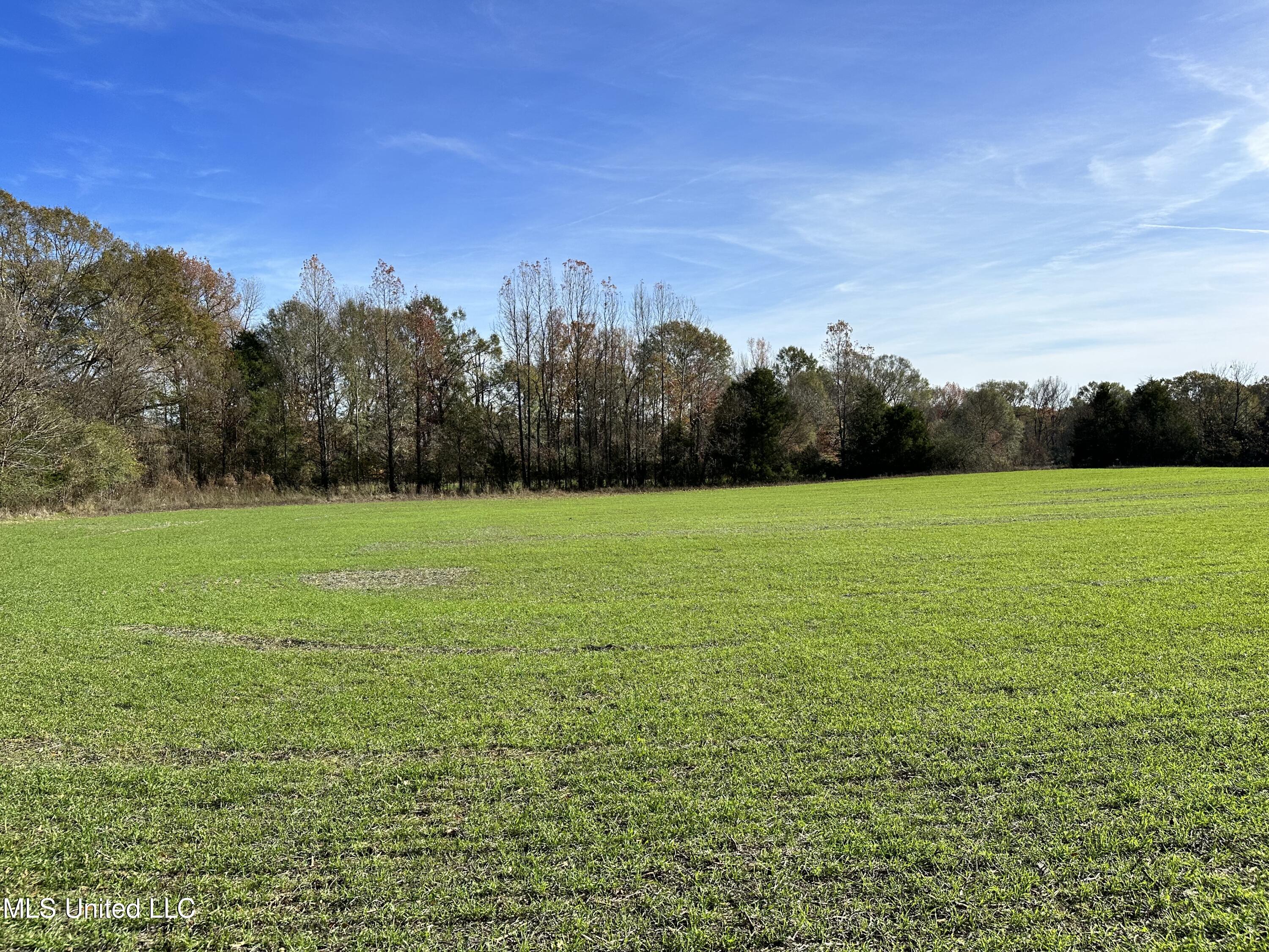 1 Springridge Road Raymond, MS 39154 - Photo 5 of 16 IMG_3841