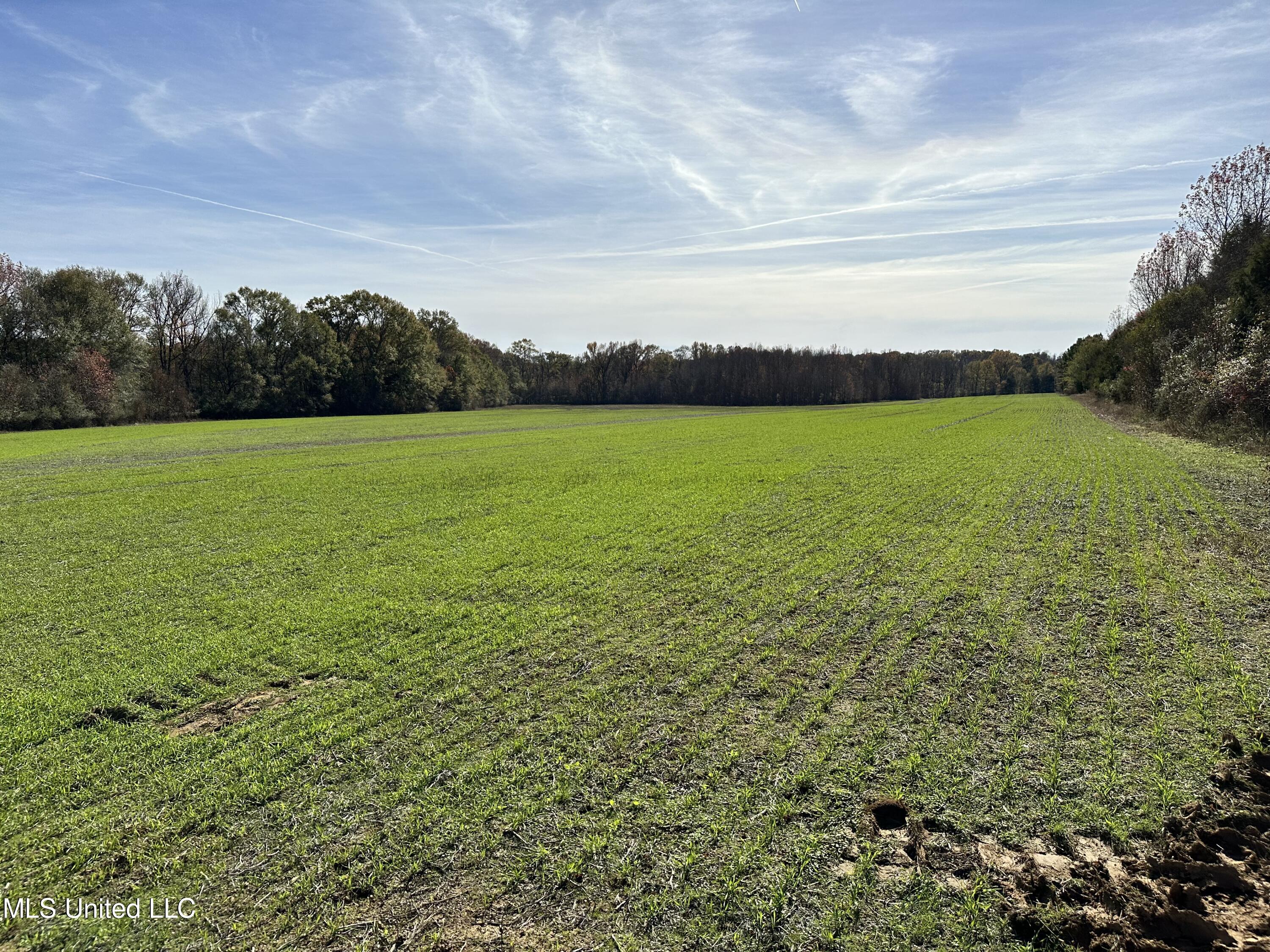 1 Springridge Road Raymond, MS 39154 - Photo 7 of 16 IMG_3844