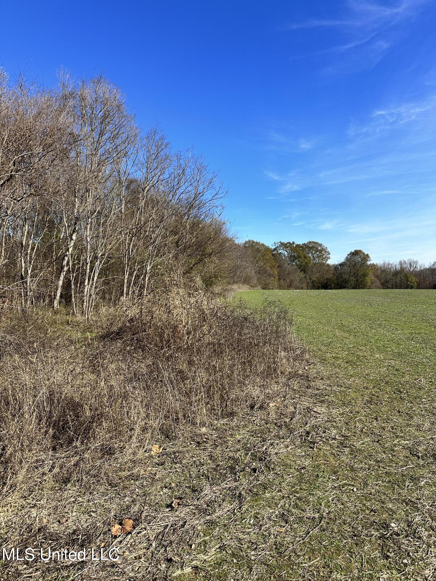 1 Springridge Road Raymond, MS 39154 - Photo 8 of 16 IMG_3849