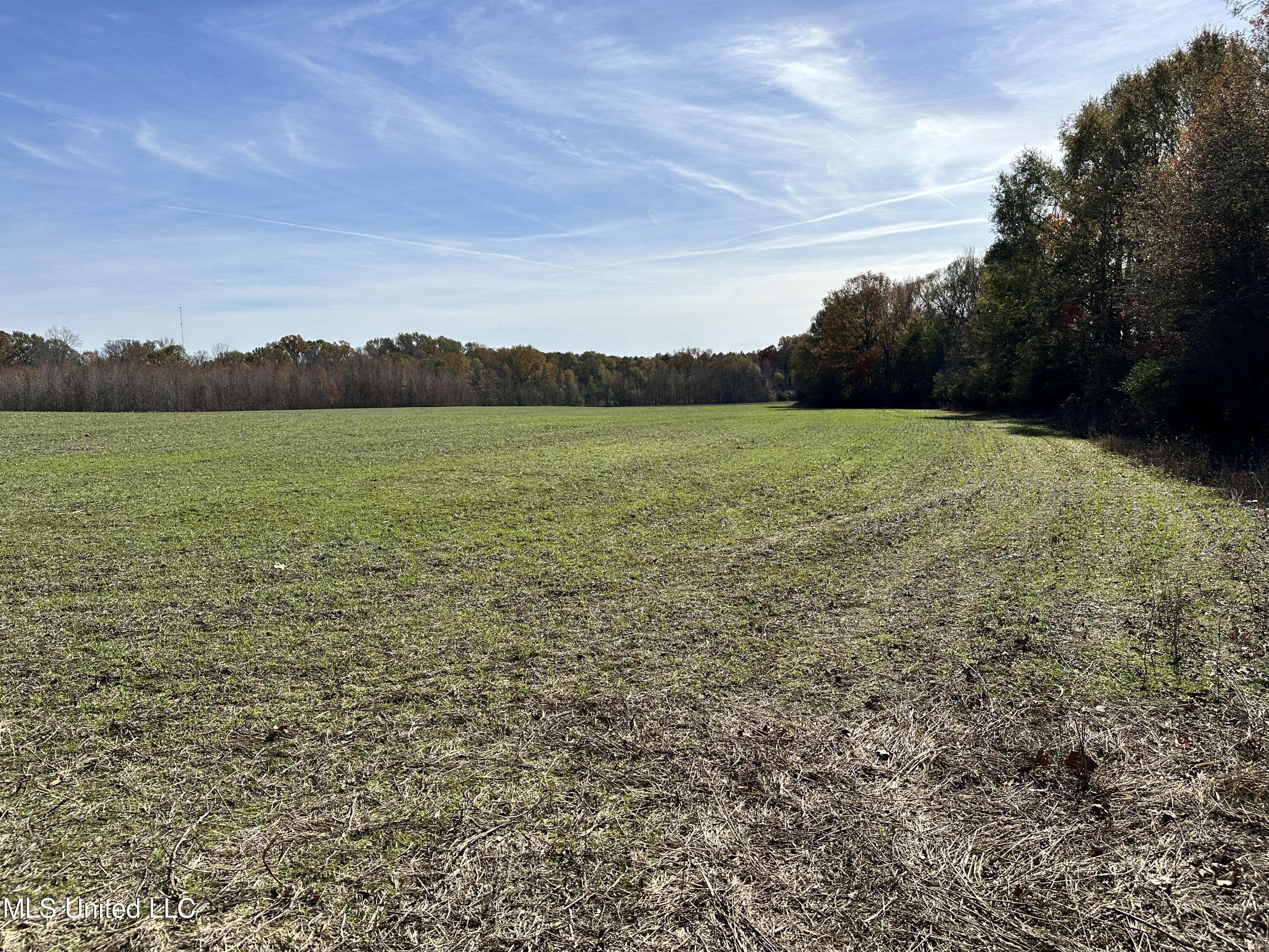 1 Springridge Road Raymond, MS 39154 - Photo 10 of 16 IMG_3847