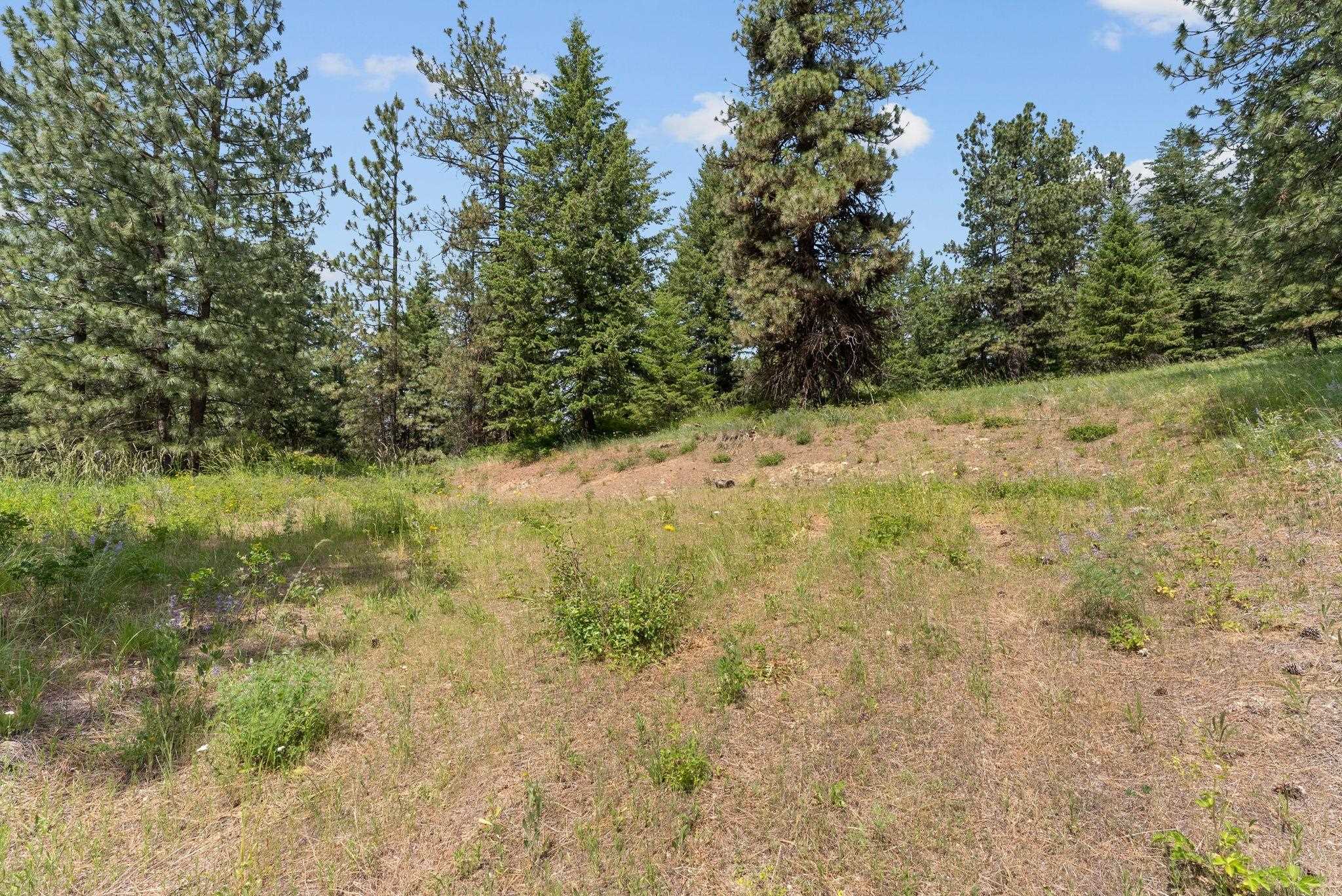 Nna North Scribner Branch Road Spokane, WA 99217 - Photo 12 of 21