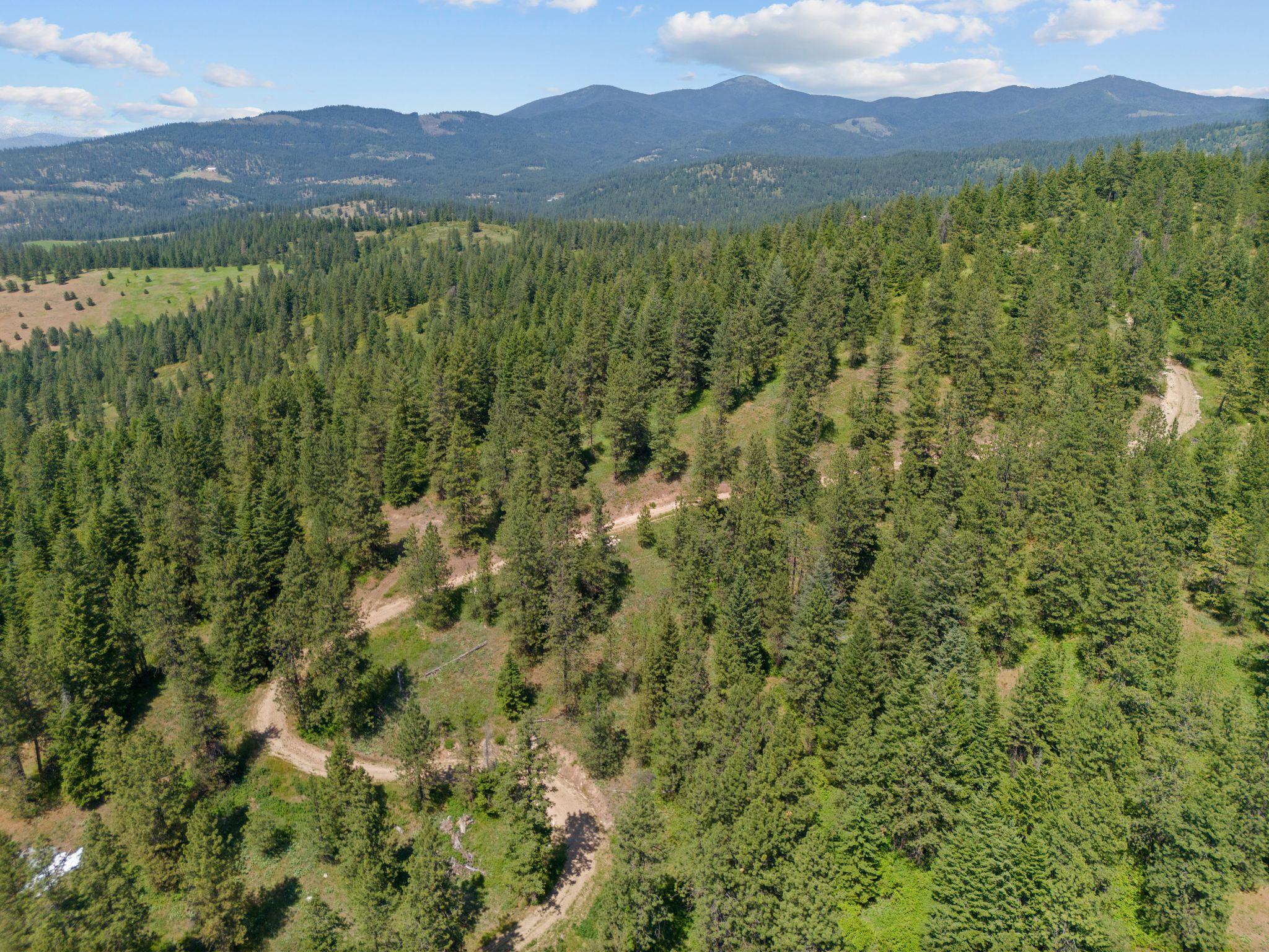 Nna North Scribner Branch Road Spokane, WA 99217 - Photo 16 of 21
