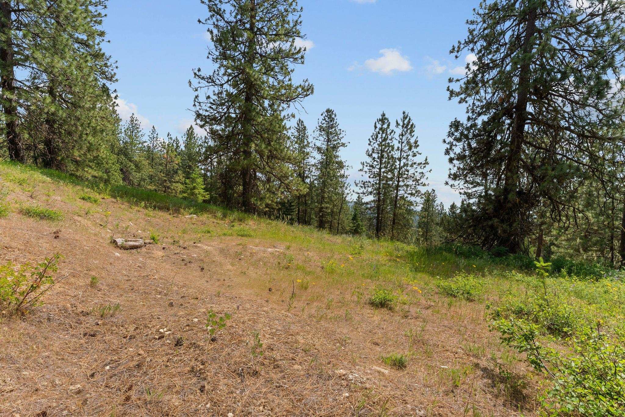 Nna North Scribner Branch Road Spokane, WA 99217 - Photo 17 of 21