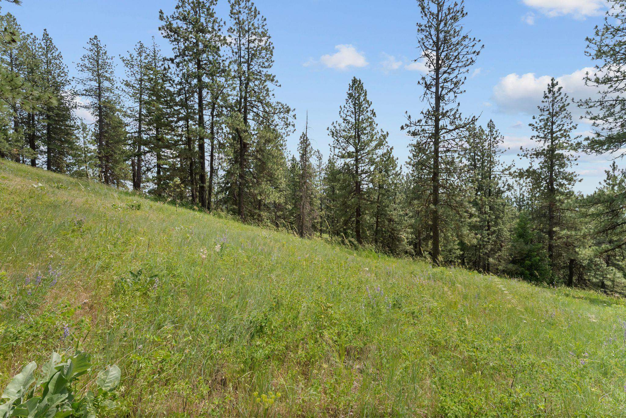 Nna North Scribner Branch Road Spokane, WA 99217 - Photo 18 of 21