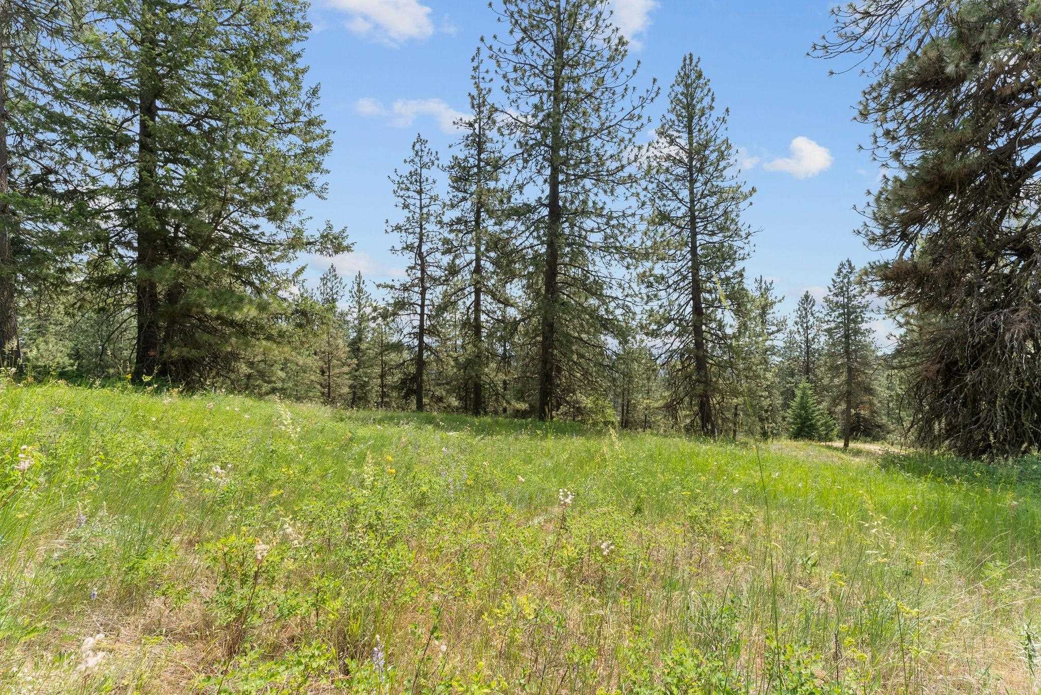 Nna North Scribner Branch Road Spokane, WA 99217 - Photo 19 of 21