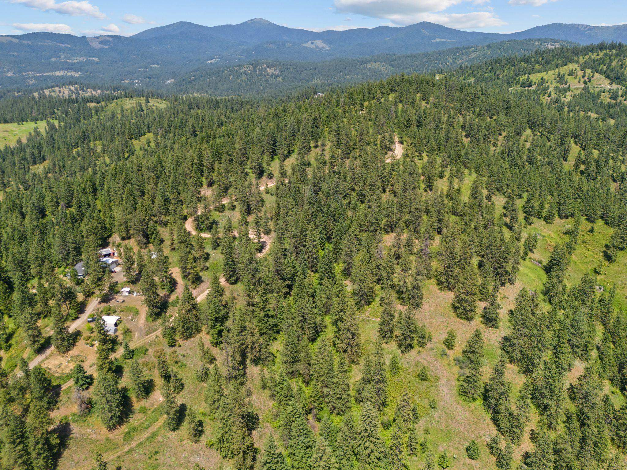 Nna North Scribner Branch Road Spokane, WA 99217 - Photo 4 of 21