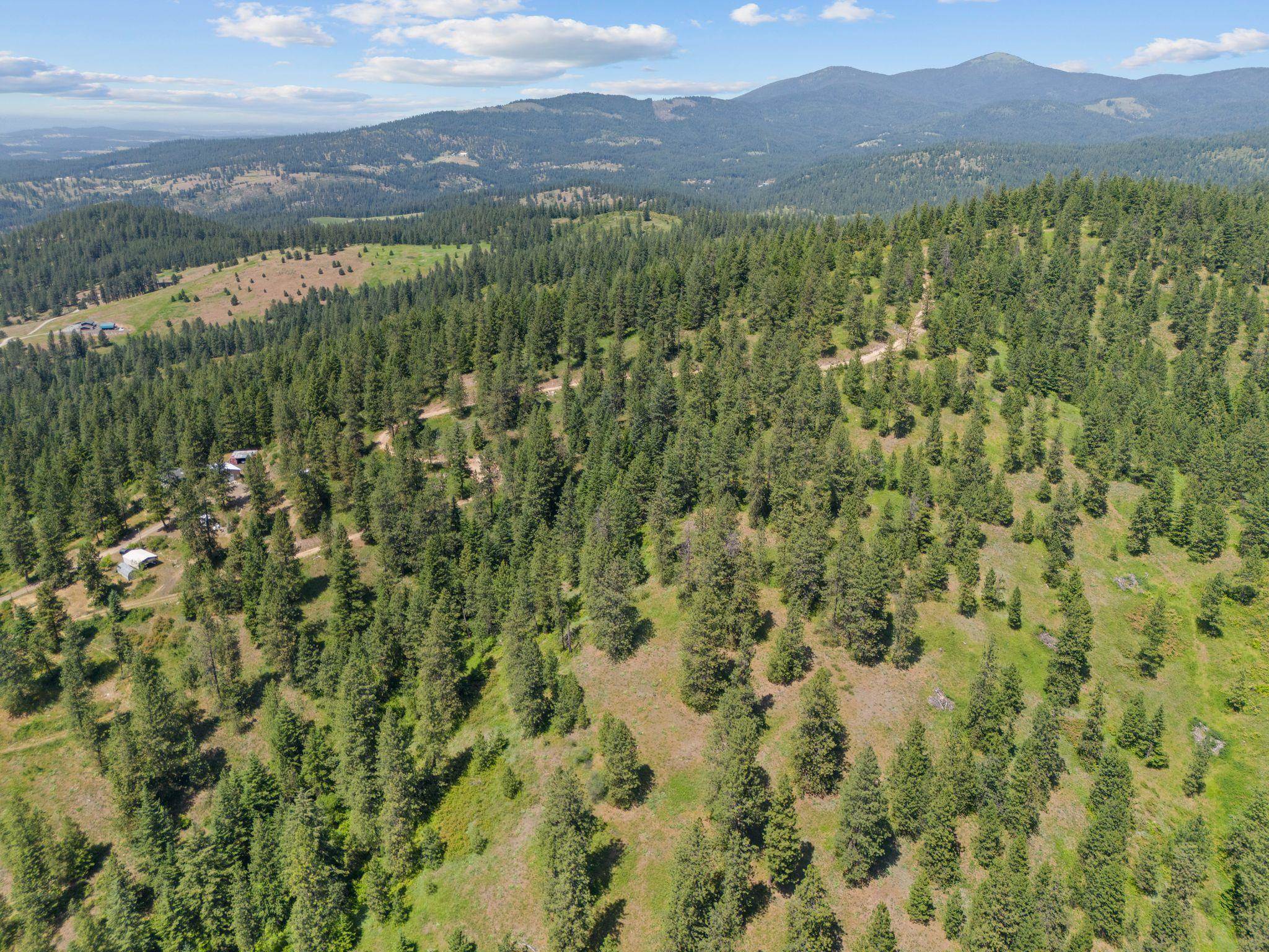 Nna North Scribner Branch Road Spokane, WA 99217 - Photo 5 of 21