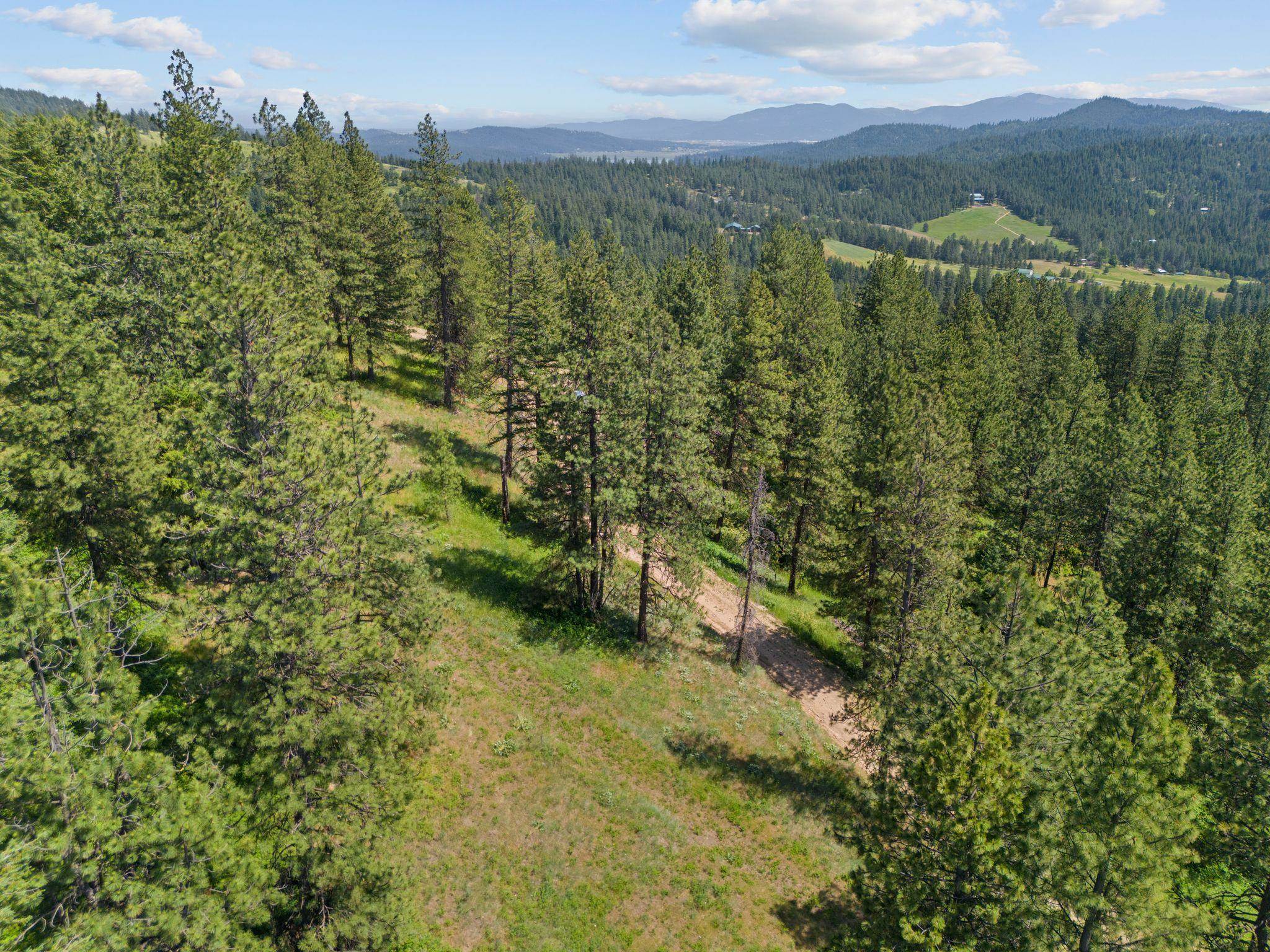 Nna North Scribner Branch Road Spokane, WA 99217 - Photo 6 of 21