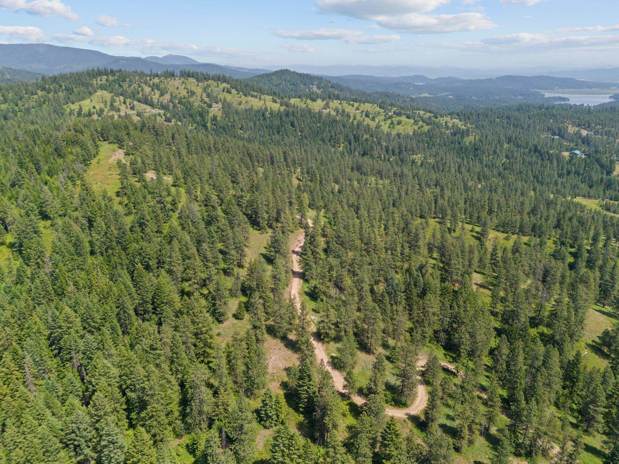 Nna North Scribner Branch Road Spokane, WA 99217 - Photo 7 of 21