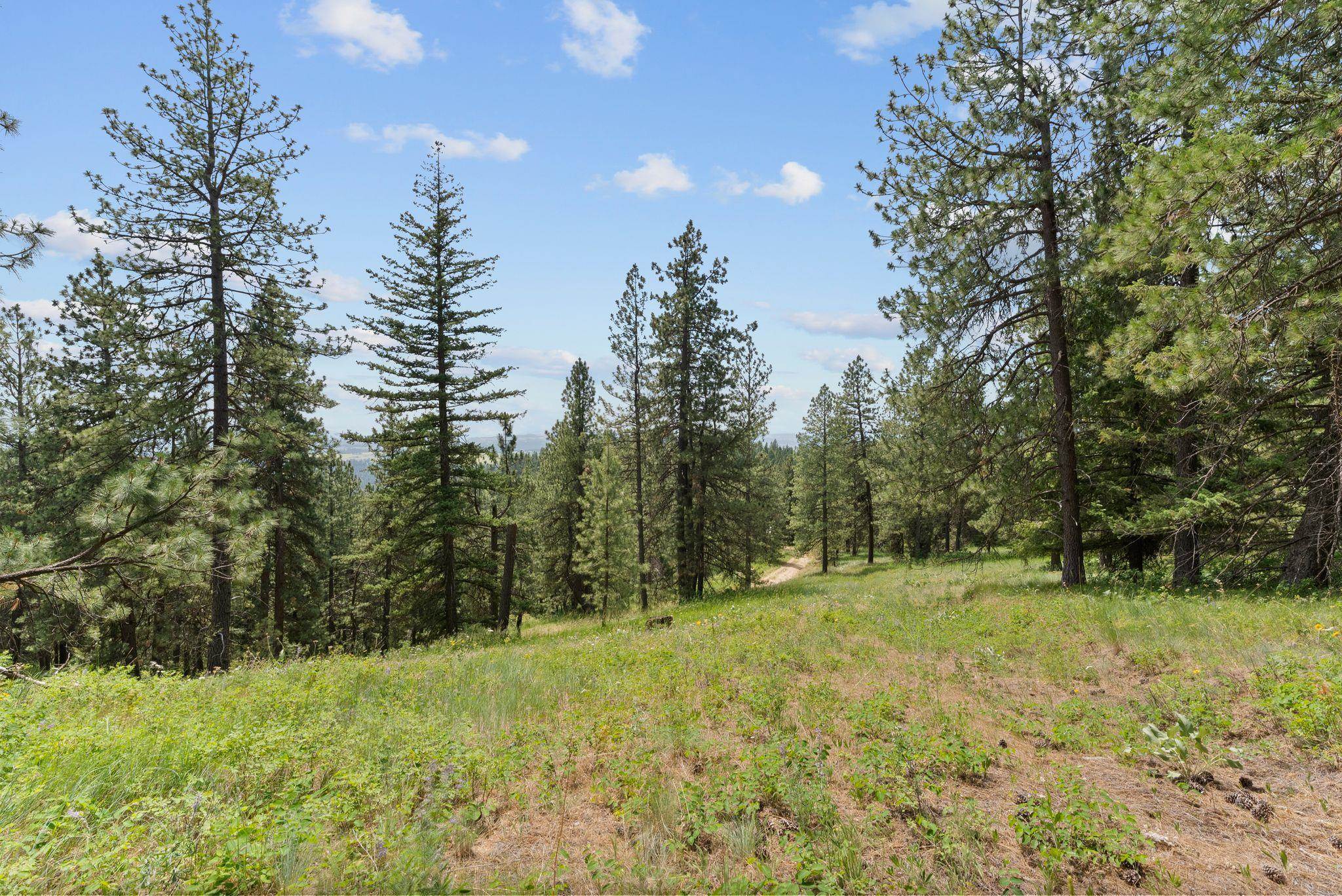 Nna North Scribner Branch Road Spokane, WA 99217 - Photo 10 of 21