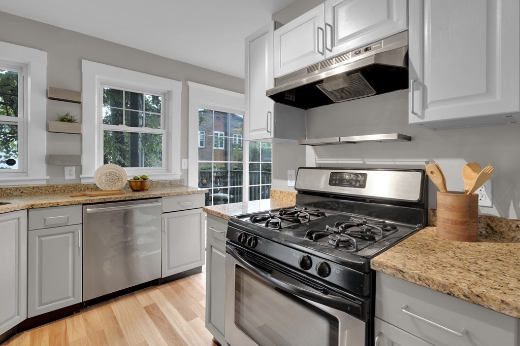 6 Goodrich Road, Unit 1 Boston, MA 02130 - Photo 11 of 27 Gallery Image 11