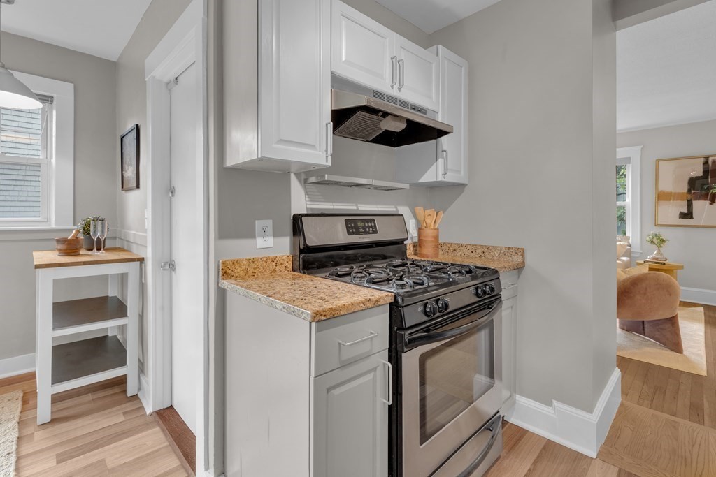 6 Goodrich Road, Unit 1 Boston, MA 02130 - Photo 14 of 27 Gallery Image 14