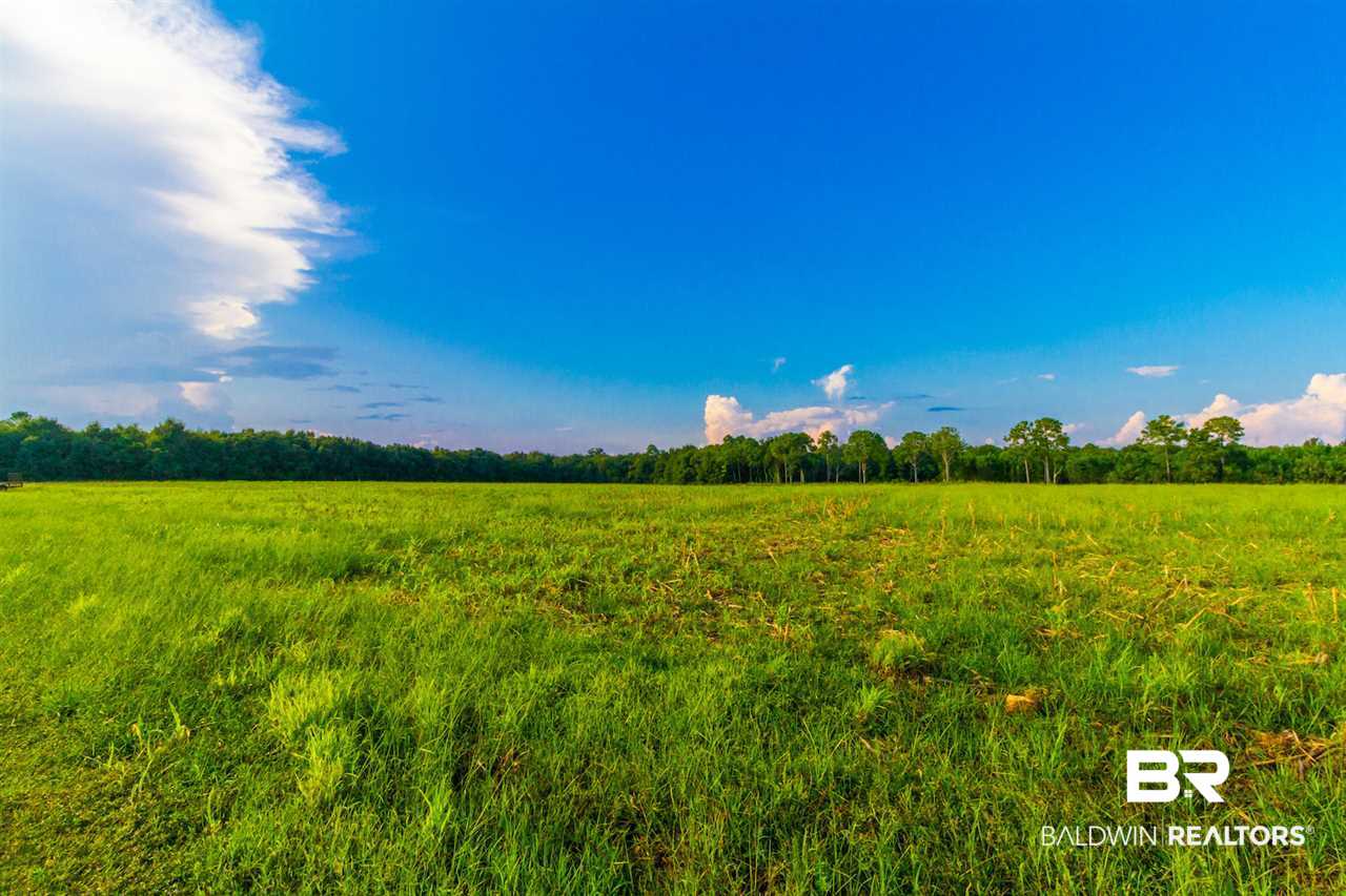 0 Carver Road Foley, AL 36535 - Photo 3 of 15