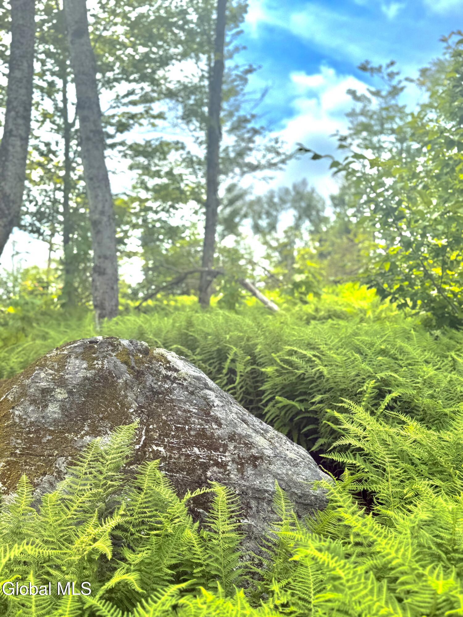 L21.11 Black River Road Stephentown, NY 12169 - Photo 11 of 24 Photo Jul 11 2025, 11 17 59 AM