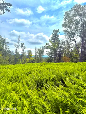 $450,000 | L21.11 Black River Road, Stephentown, NY 12169