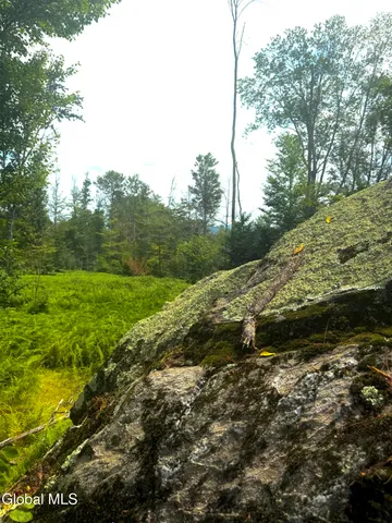 $450,000 | L21.11 Black River Road, Stephentown, NY 12169