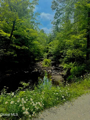 $450,000 | L21.11 Black River Road, Stephentown, NY 12169