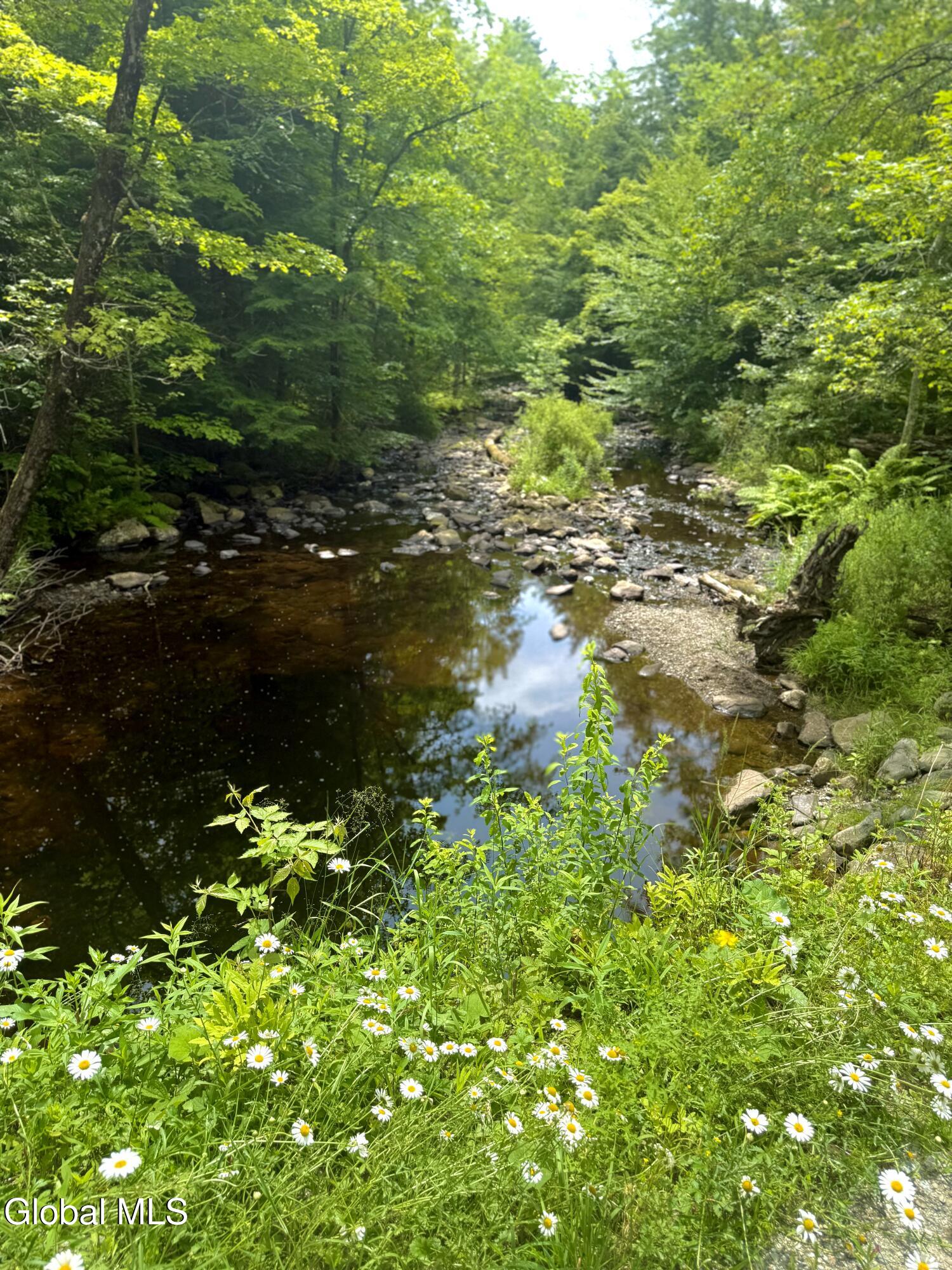 L21.11 Black River Road Stephentown, NY 12169 - Photo 16 of 24 Photo Jul 11 2025, 11 51 49 AM